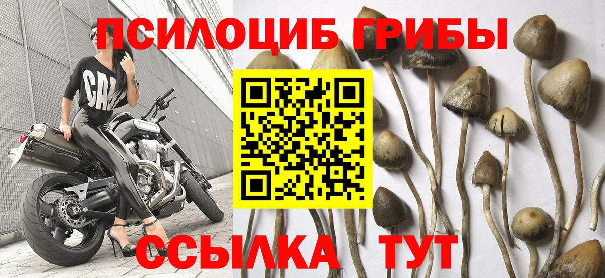 Галлюциногенные грибы Cubensis Ярцево