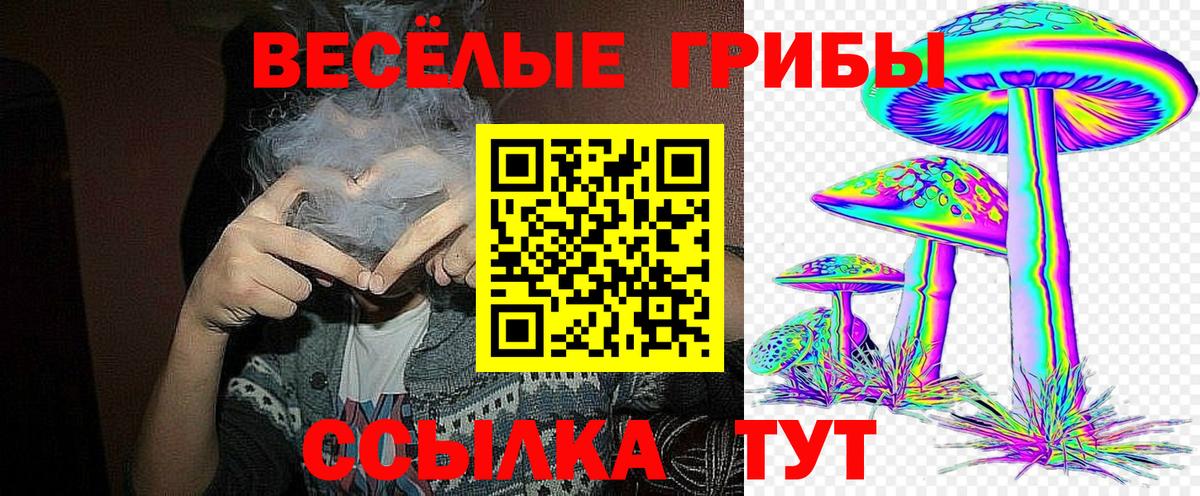 Галлюциногенные грибы Psilocybe  купить наркоту  Ярцево  Вход с VPN 
